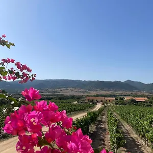 Campesi Casale Tra Le Vigne , Aglientu Italien